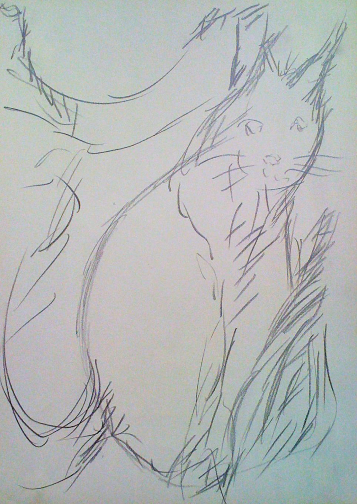 4. CORMERY Le chat, desssin mine de plomb. IMG_0212 Galerie Lise Cormery