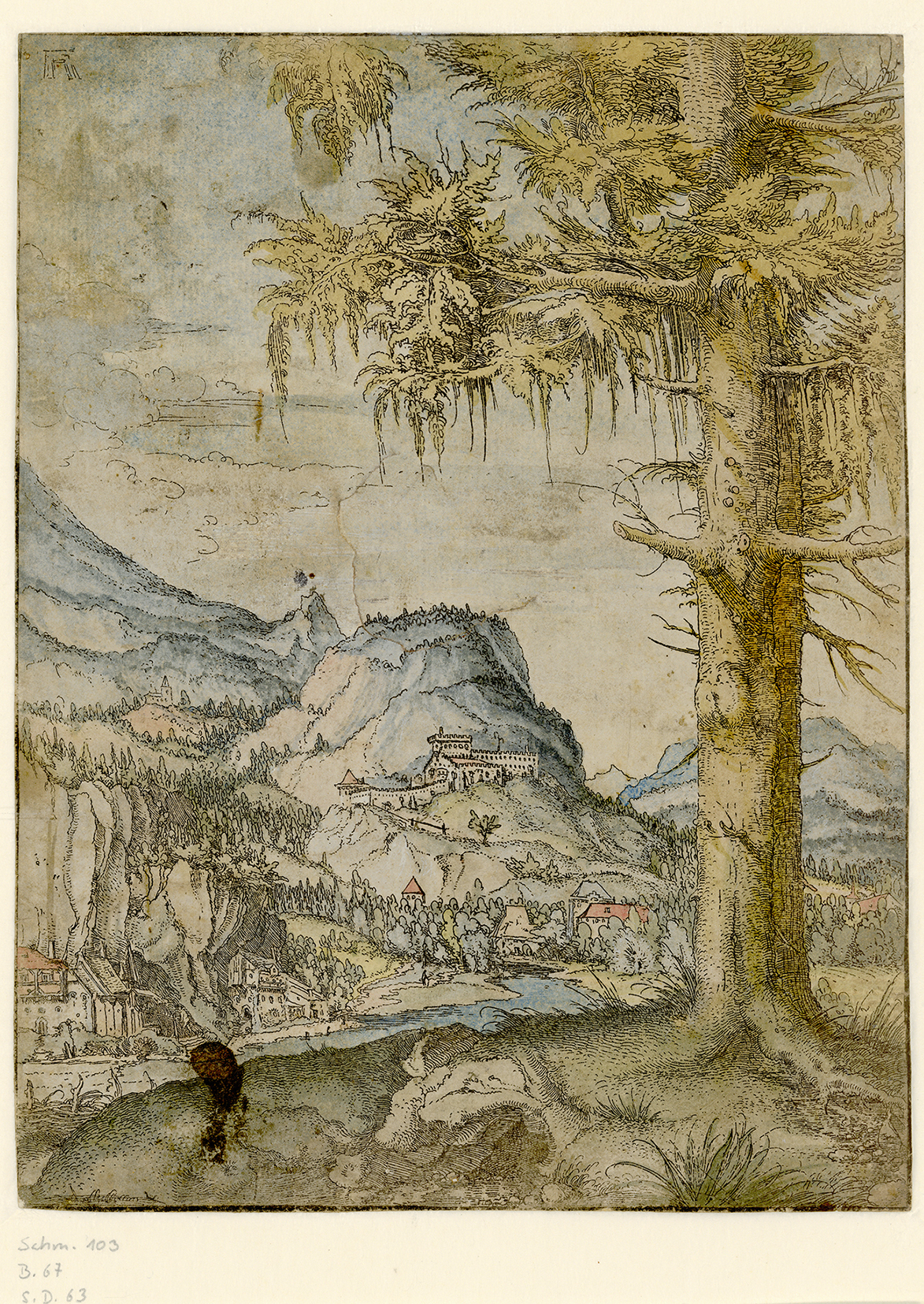 1. Albrecht Altdorfer, Paysage au grand épicéa, vers 1517-1520 © The Albertina Museum, Vienna.jpg