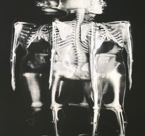 Exhibition “Chimeras”, Baudoin Lebon gallery