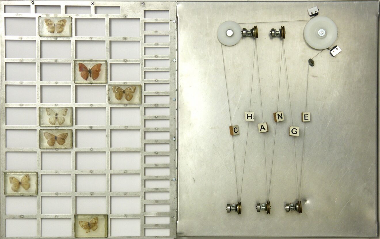 Exposition Margaret Michel, librairie-galerie Matarasso