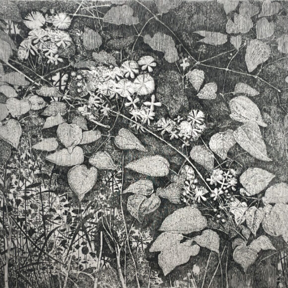 Exposition Charles Donker, Galerie Documents 15