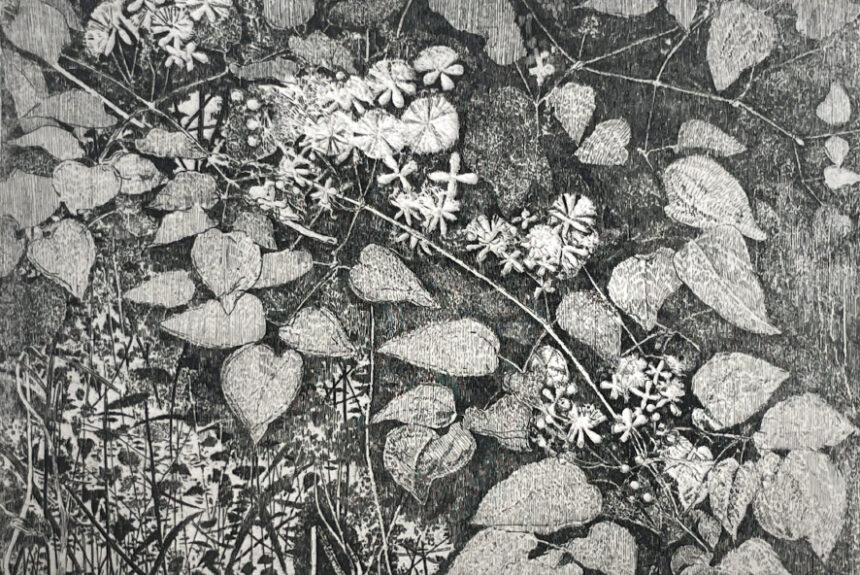 Exposition Charles Donker, Galerie Documents 15