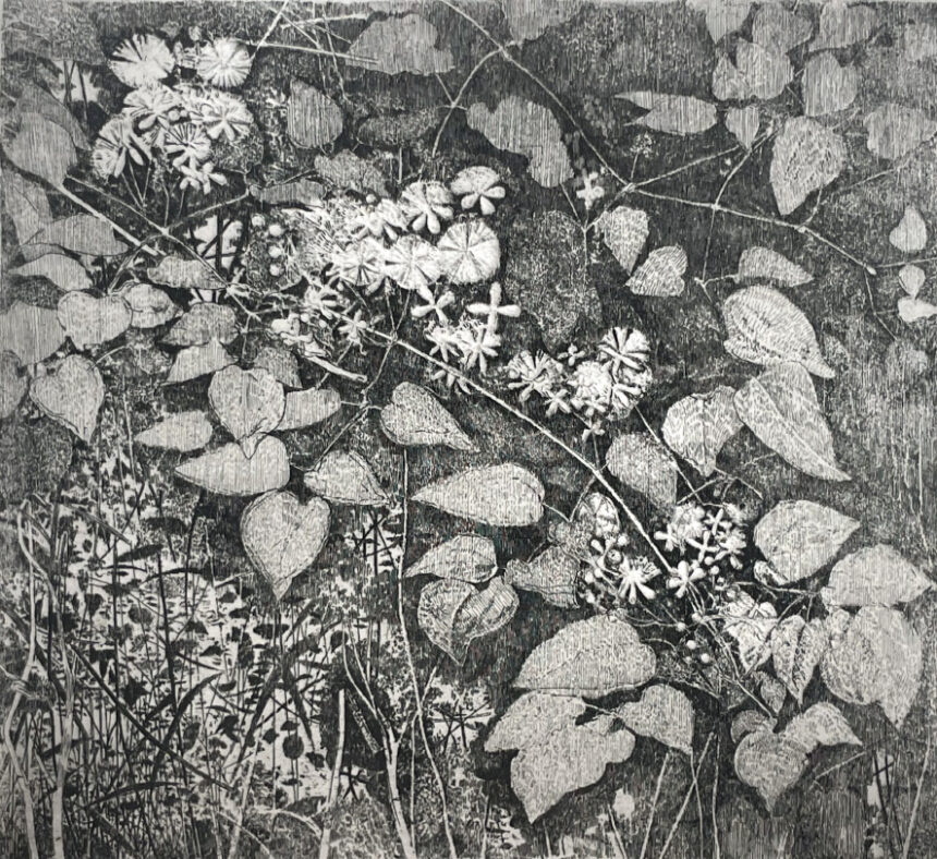 Exposition Charles Donker, Galerie Documents 15