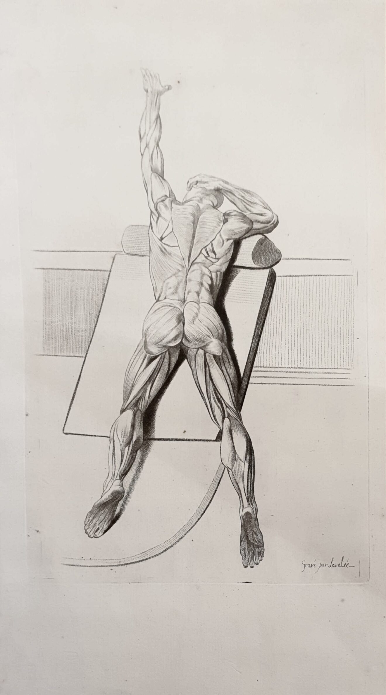 Nouveautés, Galerie Christian Collin