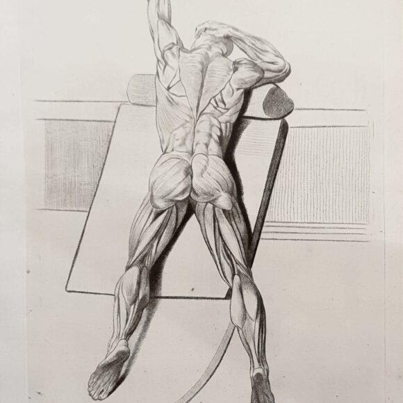 Nouveautés, Galerie Christian Collin