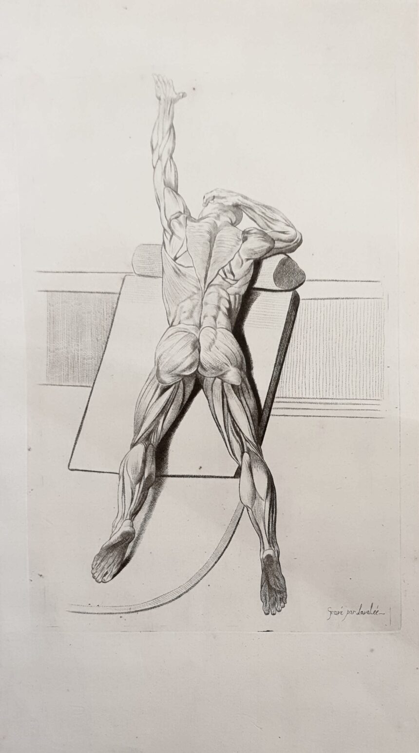 Nouveautés, Galerie Christian Collin