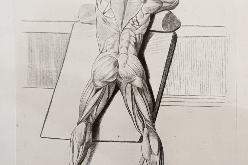 Nouveautés, Galerie Christian Collin