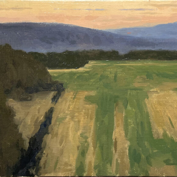 Exposition Nicolas Sage, Galerie Documents 15, Paris