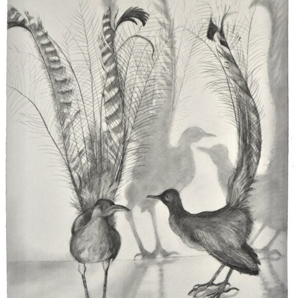 Exposition Judith Rothchild, Galerie Documents 15