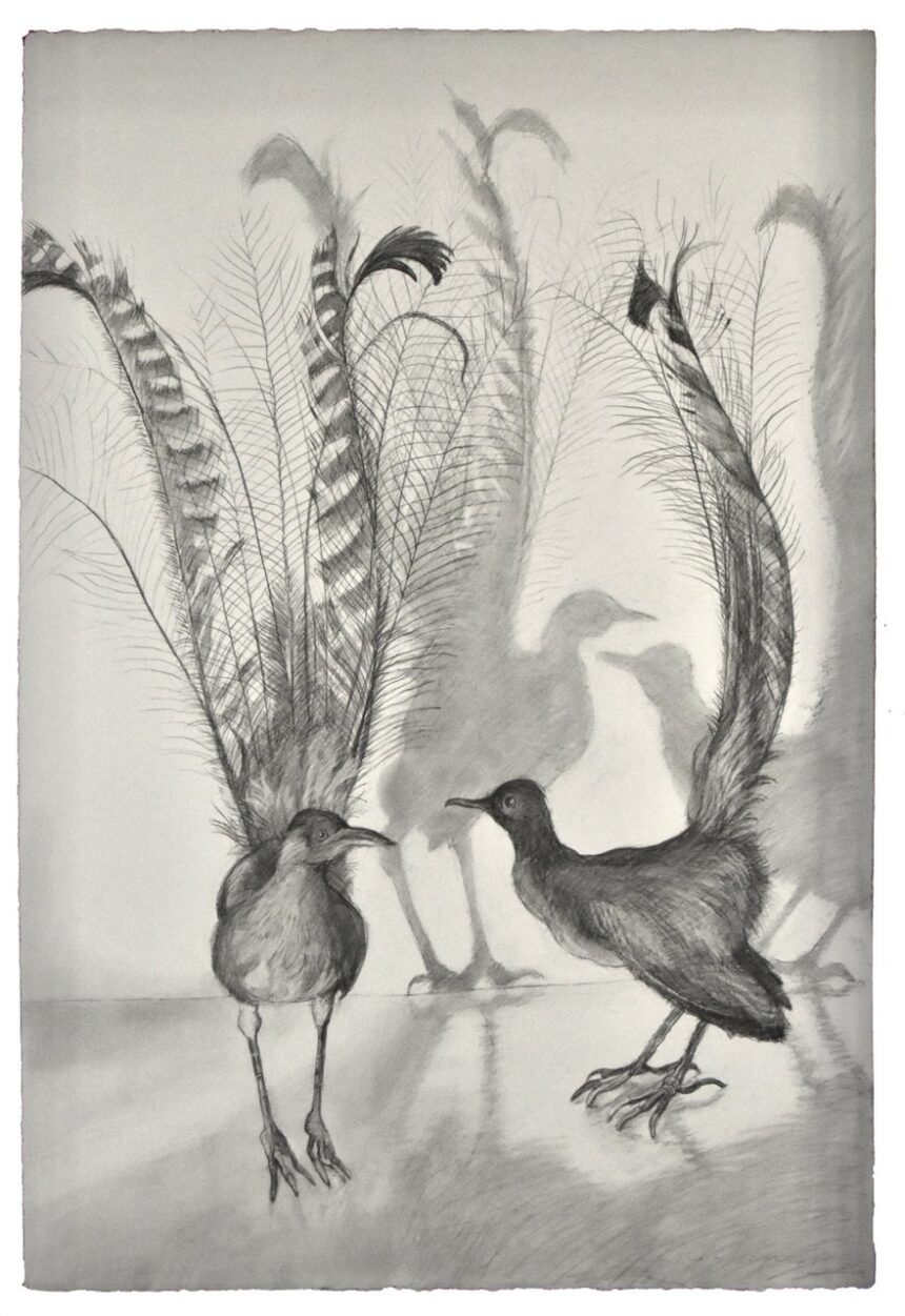 Exposition Judith Rothchild, Galerie Documents 15