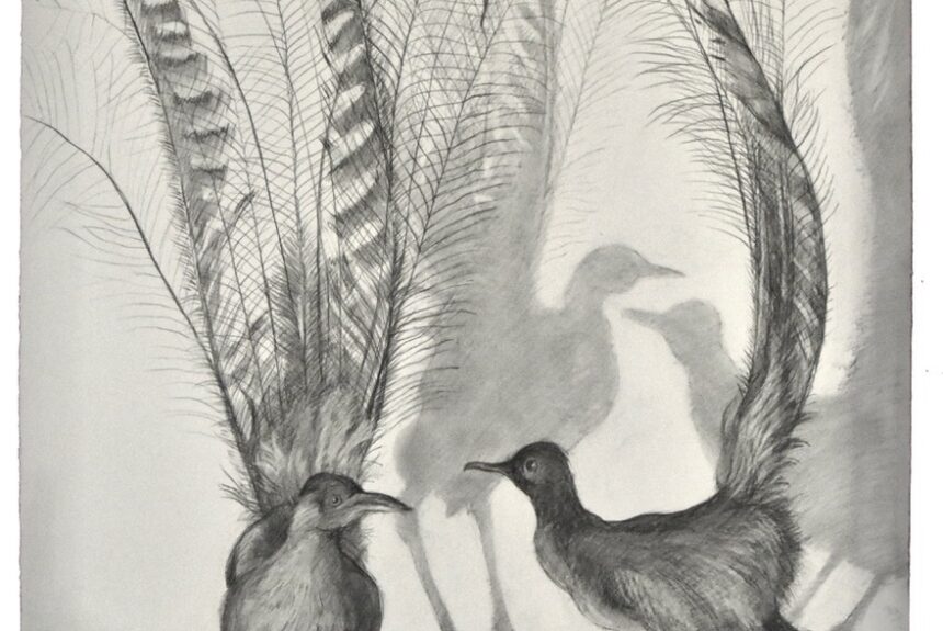 Exposition Judith Rothchild, Galerie Documents 15