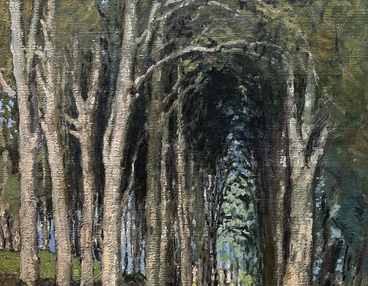 Expositions de l&rsquo;été, Galerie Stéphane Brugal