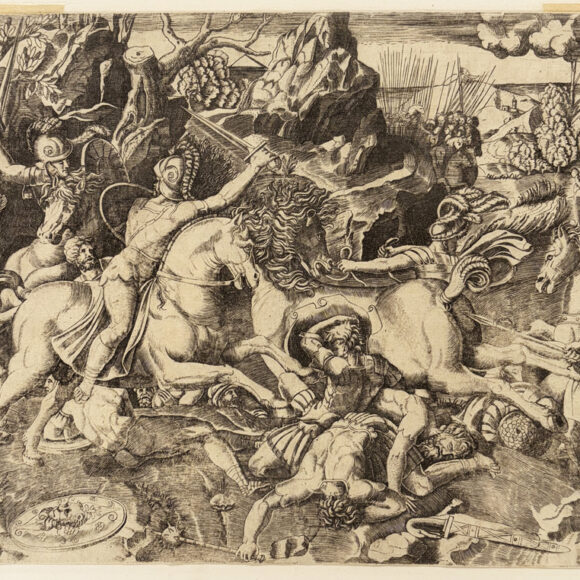 Nouveautés, Galerie Martinez D.