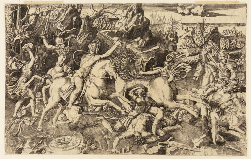 Nouveautés, Galerie Martinez D.