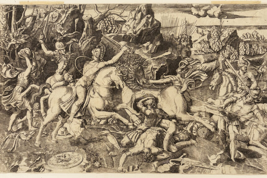 Nouveautés, Galerie Martinez D.