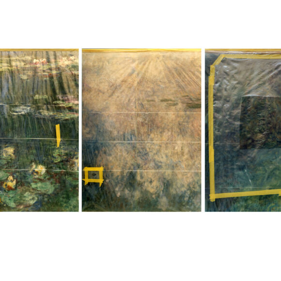 Exposition Nymphaea imago est, Galerie Nathalie Béreau
